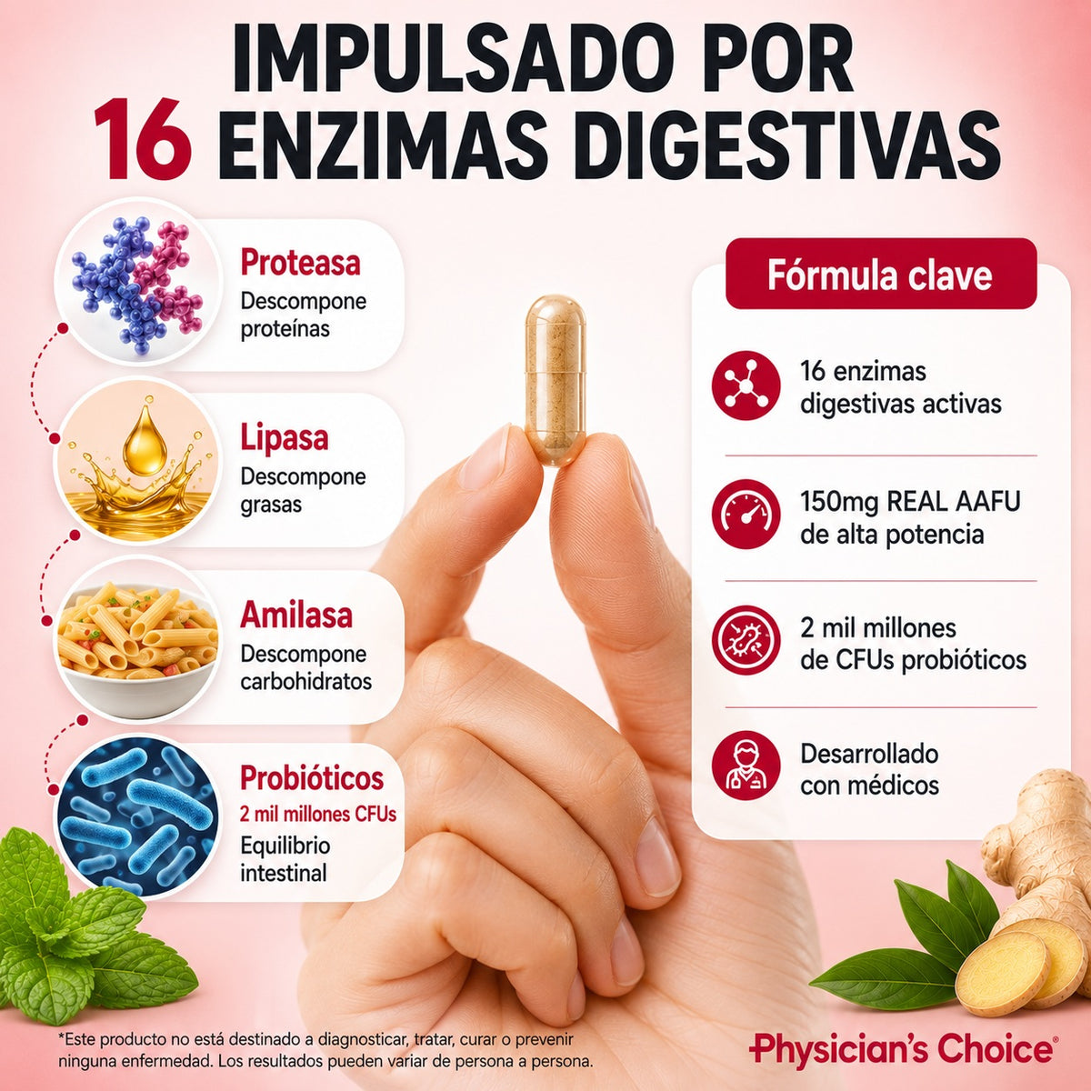 🧬 digestive enzymes