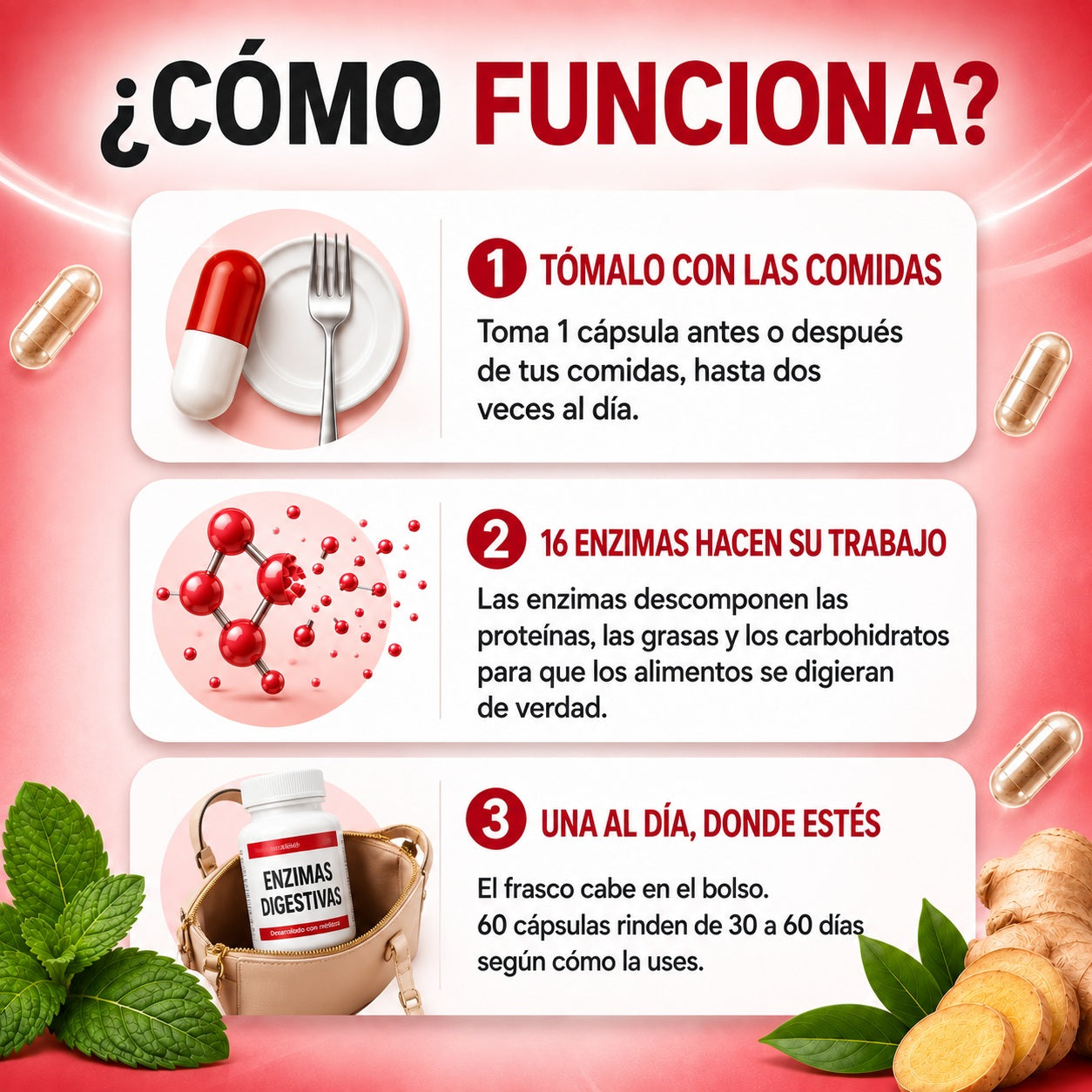 🧬 digestive enzymes